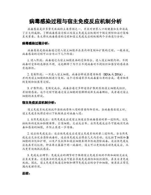 病毒感染过程与宿主免疫反应机制分析