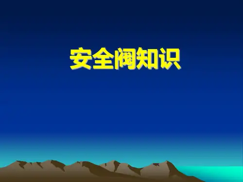 安全阀知识