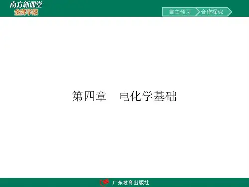 南方新课堂金牌学案高中化学选修4化学反应原理4.1