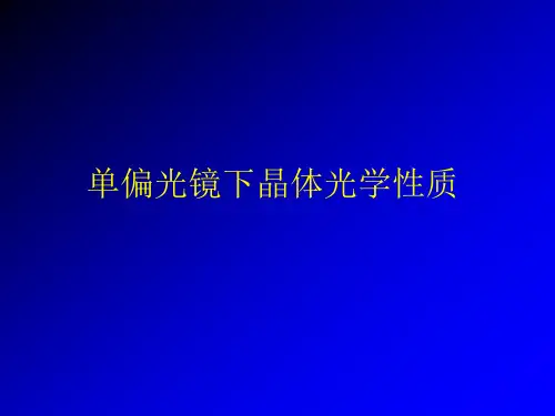 单偏光镜下特征