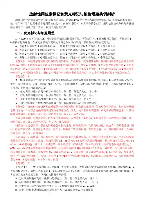细胞分裂中的同位素标记习题讲解