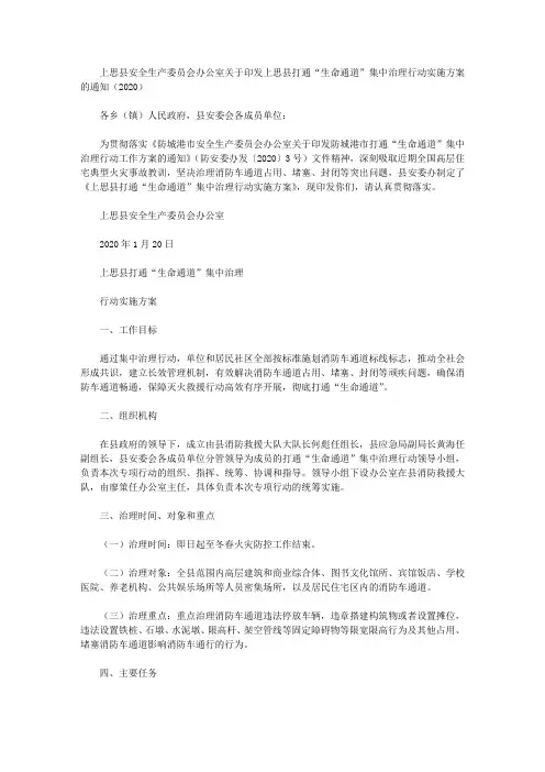 上思县安全生产委员会办公室关于印发上思县打通“生命通道”集中治理行动实施方案的通知(2020)