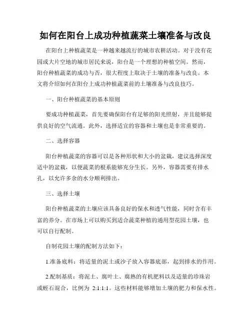 如何在阳台上成功种植蔬菜土壤准备与改良