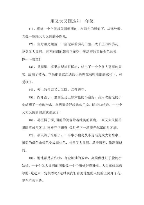 用又大又圆造句一年级