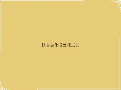 镁合金化成处理工艺【共33张PPT】
