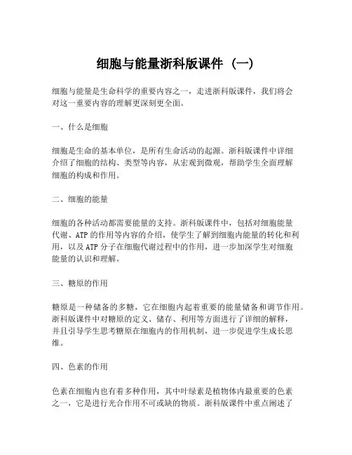 细胞与能量浙科版课件 (一)
