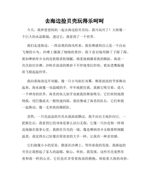 三年级作文那次玩得真高兴之去海边捡贝壳玩得乐呵呵