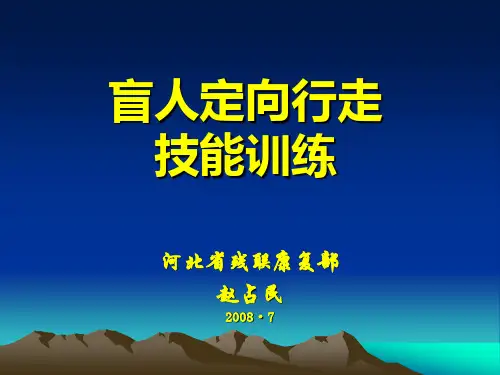 盲人定向行走