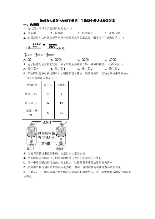 徐州市人教版七年级下册期中生物期中考试试卷及答案