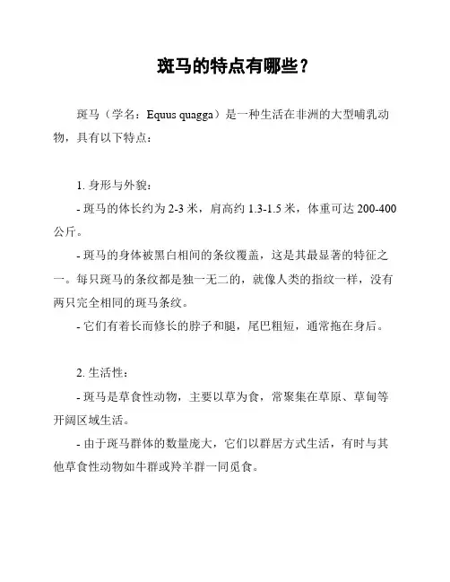 斑马的特点有哪些？