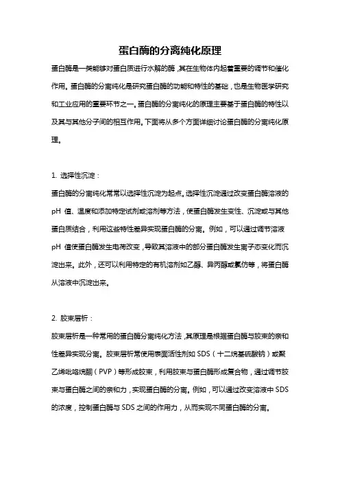 蛋白酶的分离纯化原理