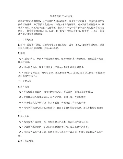 临安乡村运营工作方案