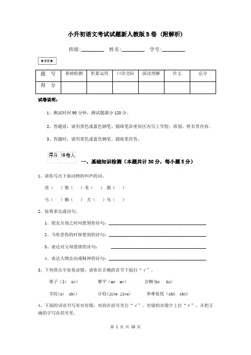 小升初语文考试试题新人教版B卷 (附解析)