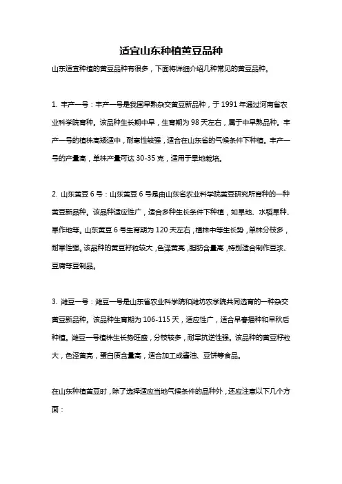 适宜山东种植黄豆品种