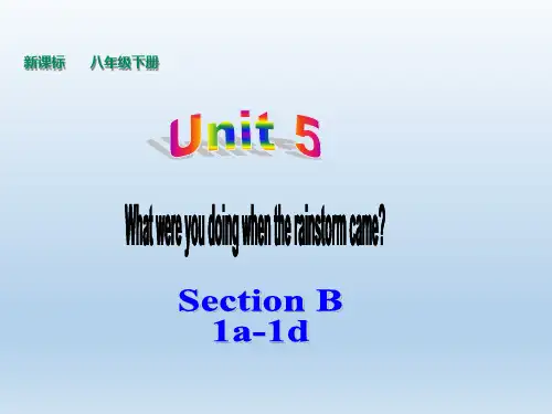 人教版新目标八年级下册英语Unit5WhatwereyoudoingwhentherainstormcameSectionB(1a-1d)