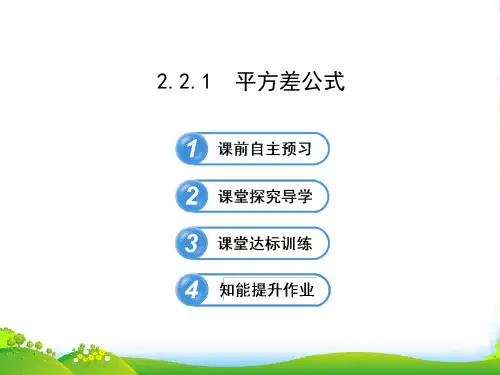 七年级数学下册第2章整式的乘法2.2乘法公式2.2.1平方差公式习题课件新版湘教版