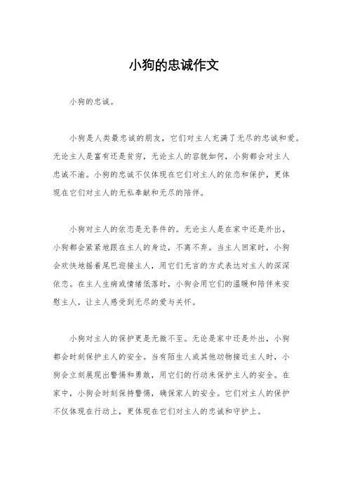 小狗的忠诚作文