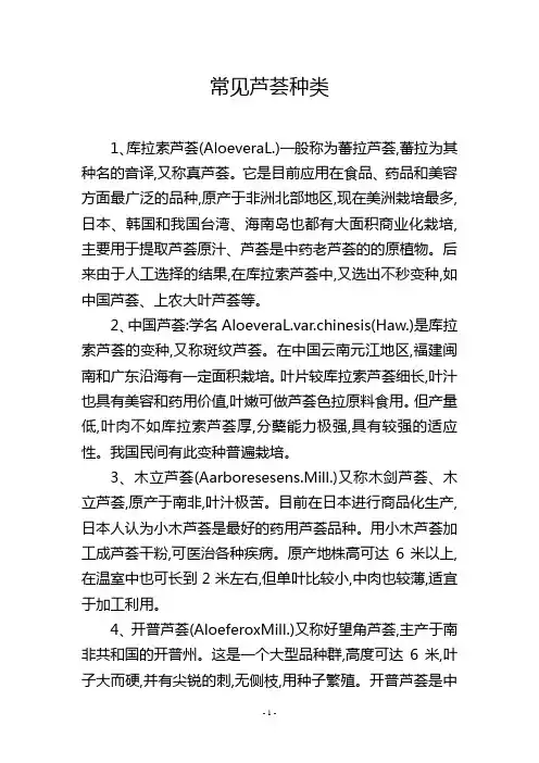 常见芦荟种类