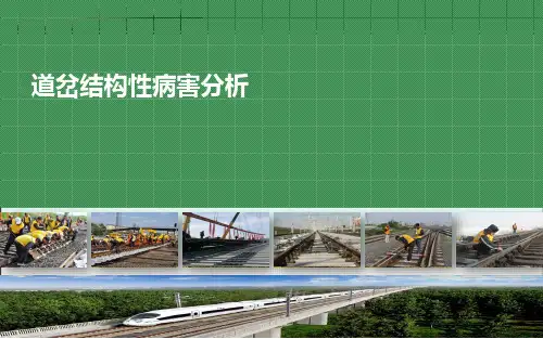 道岔管理及日常病害分析全文