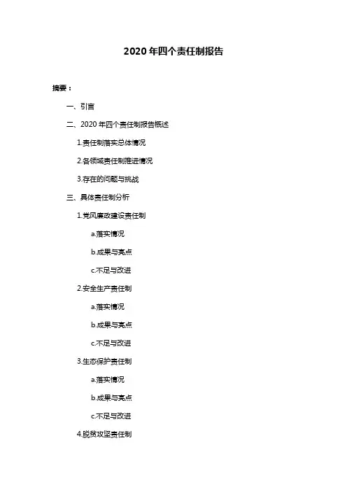 2020年四个责任制报告