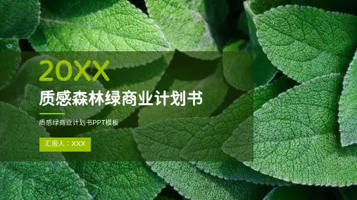 商业计划书PPT模板