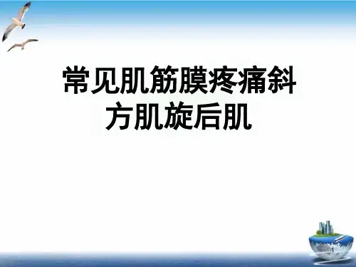 常见肌筋膜疼痛斜方肌旋后肌ppt课件