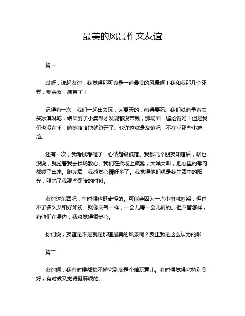 最美的风景作文友谊