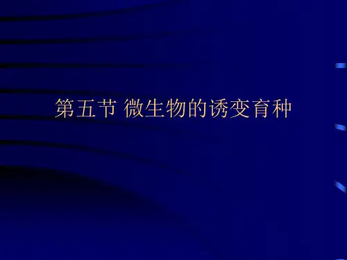 微生物的诱变育种