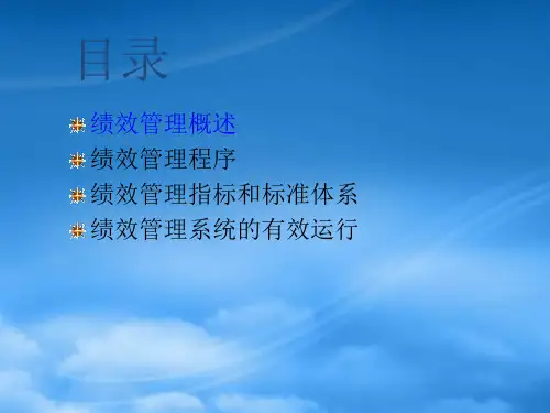 能源行业绩效管理程序与指标