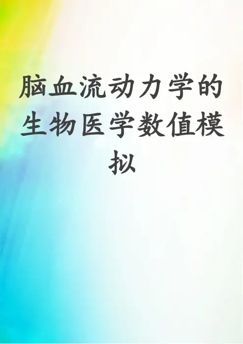 脑血流动力学的生物医学数值模拟