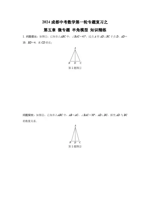 2024成都中考数学第一轮专题复习之第五章 微专题 半角模型 知识精练(含答案)
