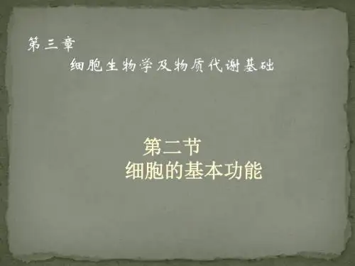 细胞的基本功能分析课件