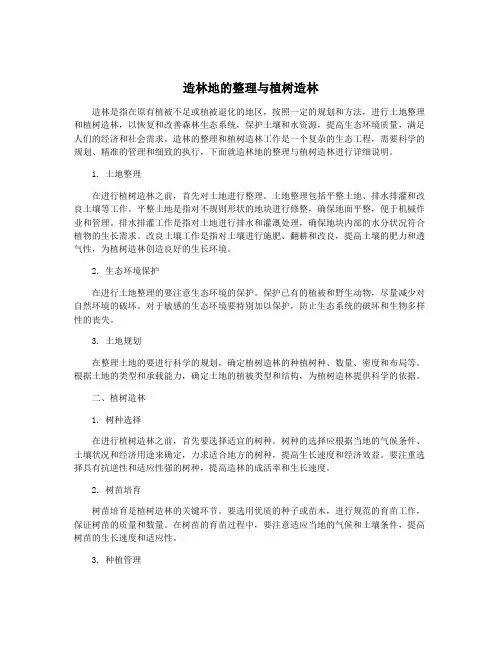 造林地的整理与植树造林