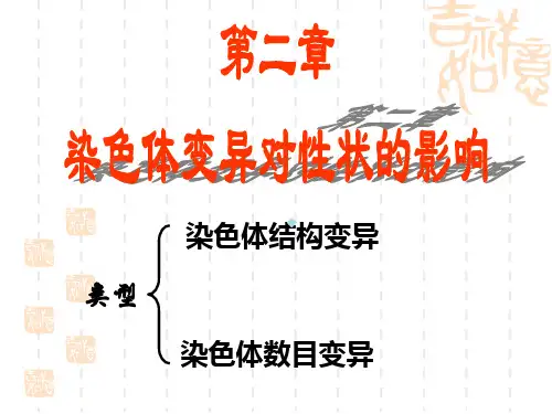 染色体数目结构变异