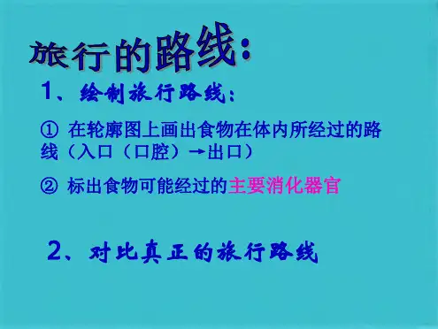 食物在体内的旅行(共5张PPT)
