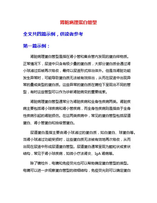 肾脏病理蛋白管型