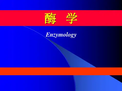 催化反应动力学-2抑制动力学