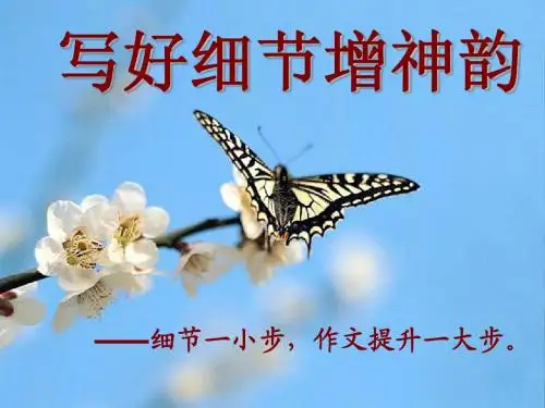 写好细节增神韵