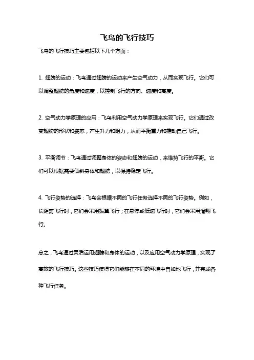 飞鸟的飞行技巧