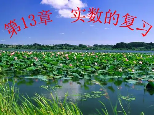 第13章_实数复习课件