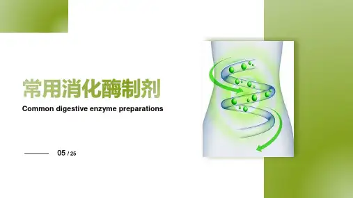 常用消化酶制剂