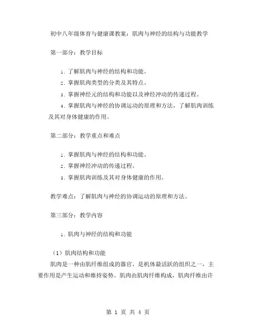 初中八年级体育与健康课教案：肌肉与神经的结构与功能教学