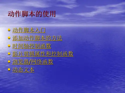 FLASH脚本