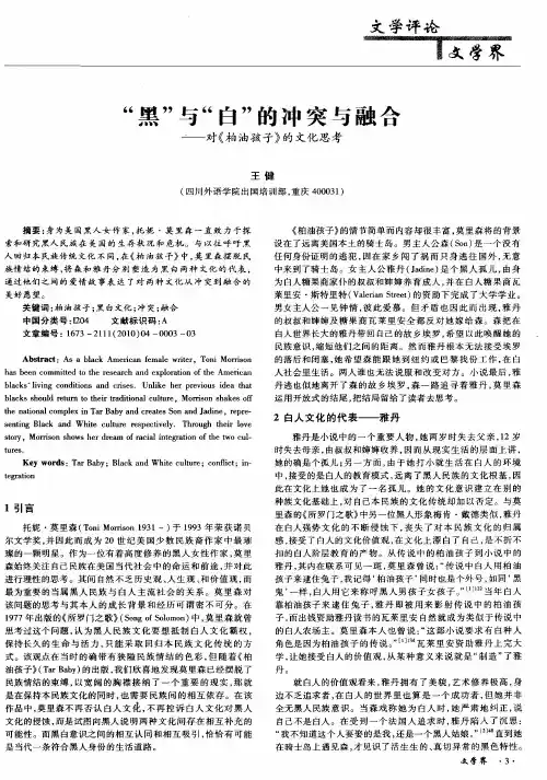 “黑”与“白”的冲突与融合——对《柏油孩子》的文化思考