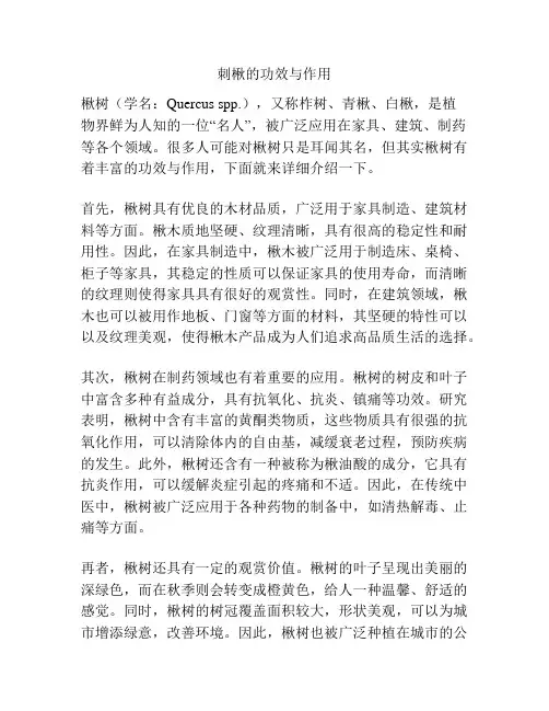 刺楸的功效与作用