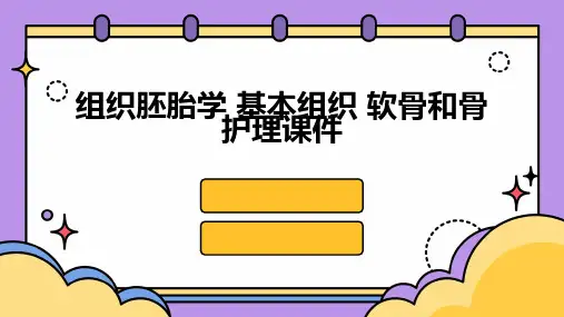组织胚胎学 基本组织软骨和骨护理课件