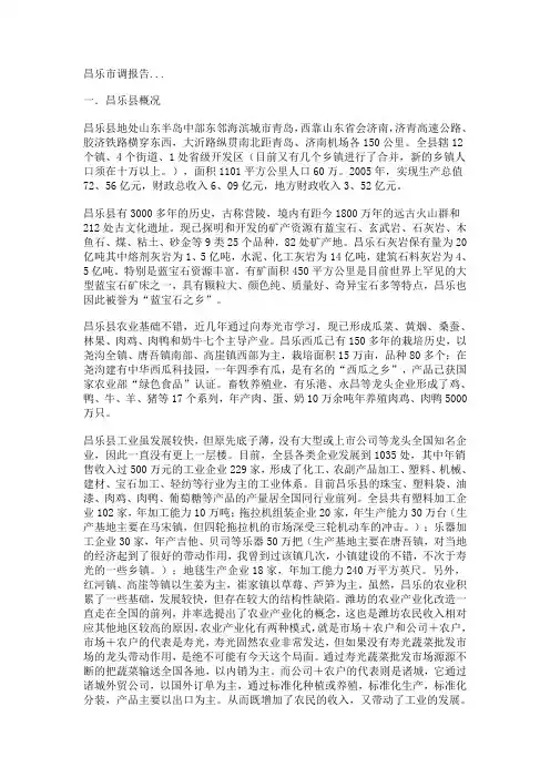 昌乐市调报告