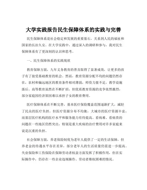 大学实践报告民生保障体系的实践与完善