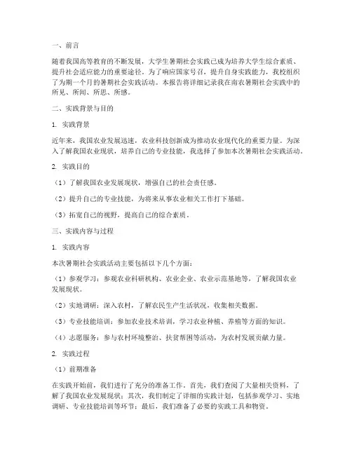 南农暑期社会实践报告