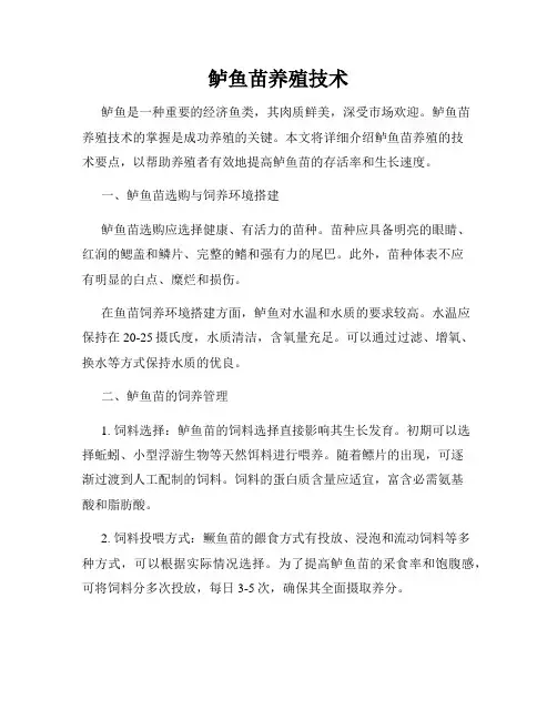 鲈鱼苗养殖技术